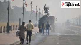 ILDs have varied causes, ranging from autoimmune conditions to environmental and occupational exposures, yet pollution remains a common trigger for flare-ups. (File)