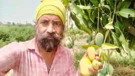 punjab farmer 1 (2) punjab farmer