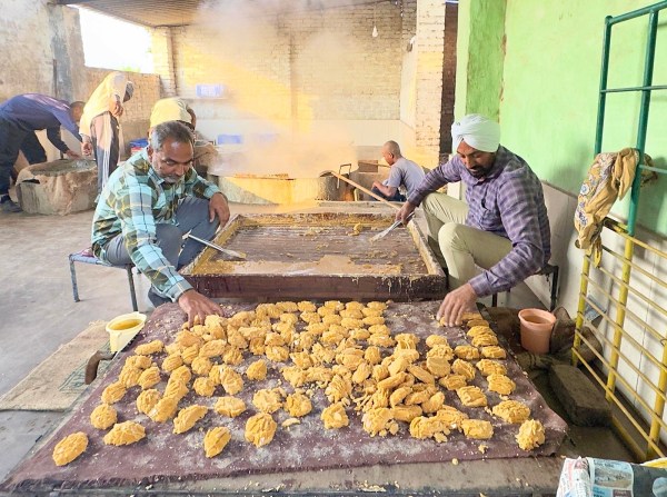 punjab sugarcane farming
