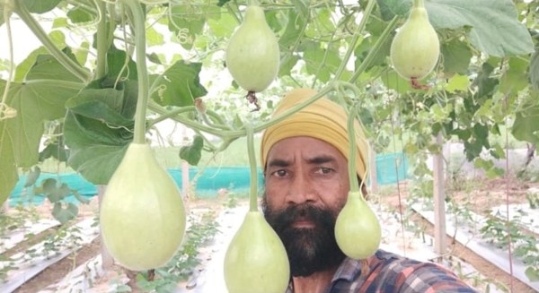 punjab farmer