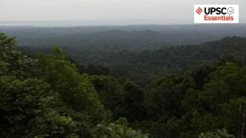 rainforests, climate goals, India