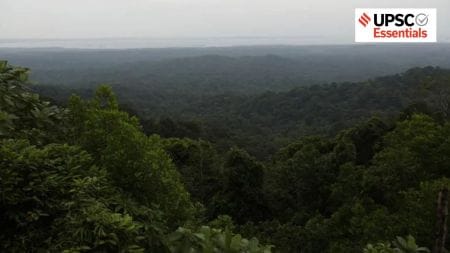 rainforests, climate goals, India