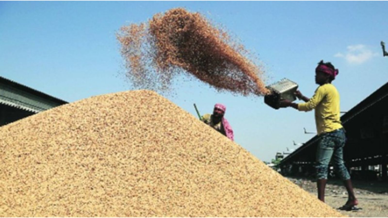 Punjab's Export Challenges Amid Global Trade Shifts