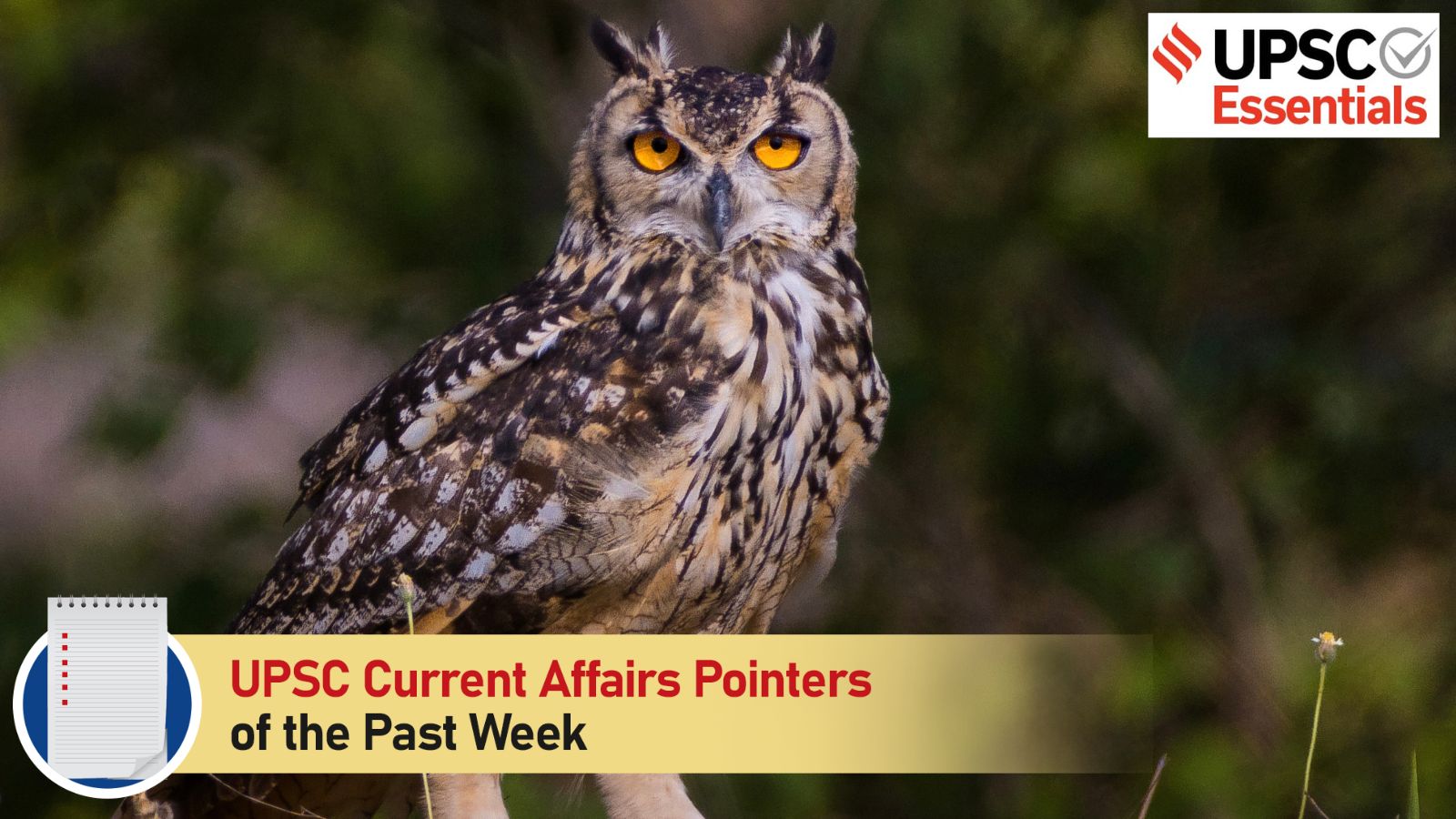 upsc current affairs, rock eagle owl