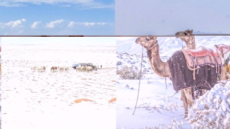 What caused the rare snowfall in Saudi Arabia and will other Gulf countries see similar phenomenon