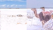 What caused the rare snowfall in Saudi Arabia and will other Gulf countries see similar phenomenon