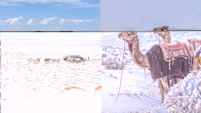 What caused the rare snowfall in Saudi Arabia and will other Gulf countries see similar phenomenon