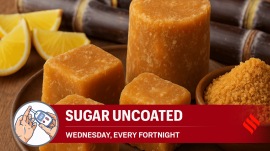 Despite following all other instructions strictly — regular walks and timely medication — her blood glucose levels kept rising