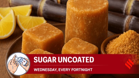 Despite following all other instructions strictly — regular walks and timely medication — her blood glucose levels kept rising