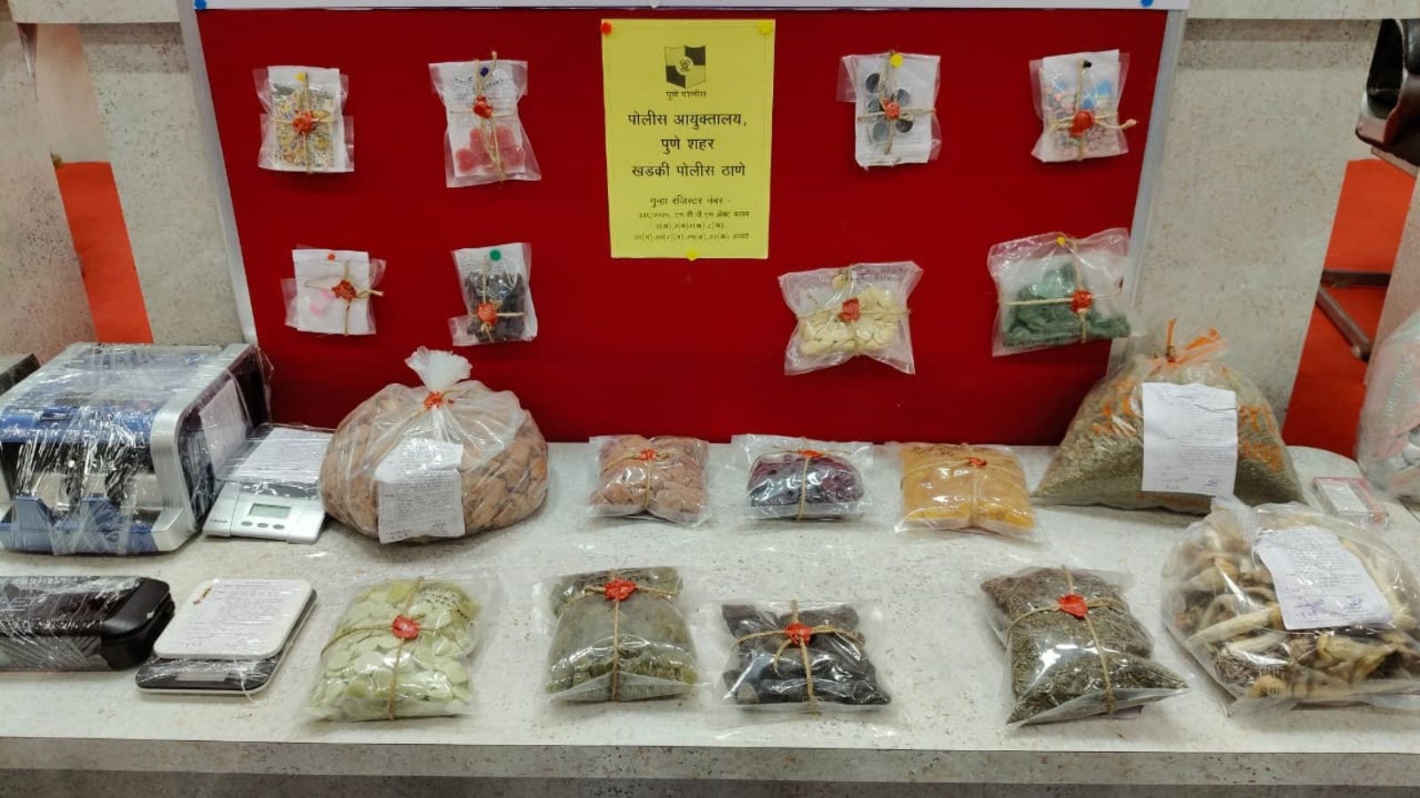 indianexpress.com - Pragynesh - On trail of cartel linked to Rs 13,000-crore drug bust in 2024, police look for mystery drug lord