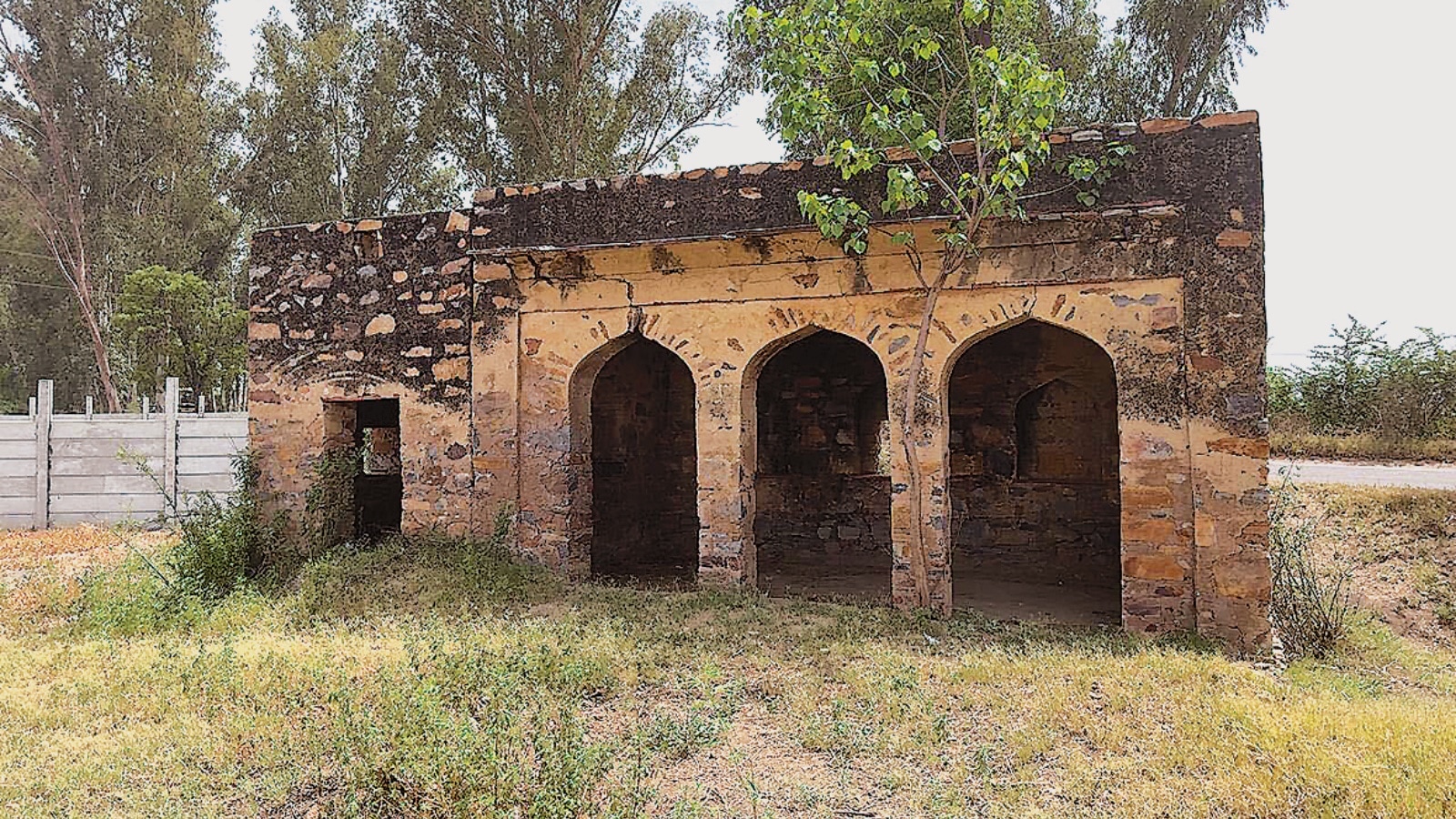 Exhibition brings to life a colonial-era 4,000-km hedge