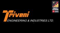 Triveni operates across sugar and ethanol, water treatment plants, and precision gearboxes