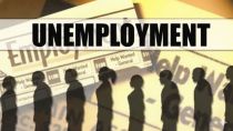 At 4.7 per cent, the November unemployment rate for Indians aged 15 years and above is the lowest since MoSPI started releasing monthly jobs data starting from April as part of a revamped survey design.