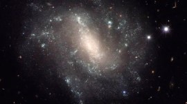If we could view our galaxy from the outside, it would appear to have a thin disc with some distinct spiral “arms” that are brightened by stars.
