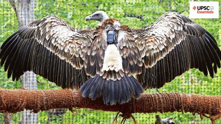 UPSC Essentials | Daily subject-wise quiz : Environment and Geography