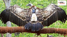 UPSC Essentials | Daily subject-wise quiz : Environment and Geography