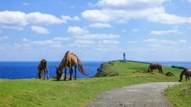 The tiny Japanese island on the front lines of China’s feud