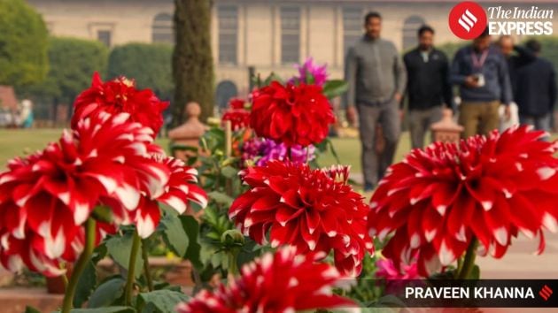 Visitors will be able to explore the Udyan six days a week between 10 a.m. and 6 p.m.