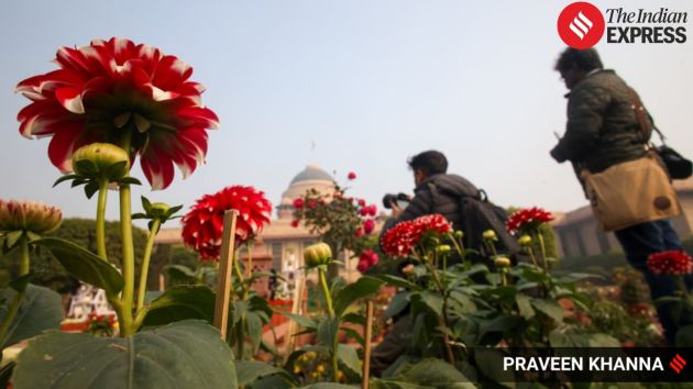 Amrit Udyan at Rashtrapati Bhavan will open for public viewing from February 3 to March 31, 2026