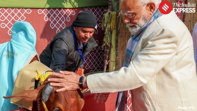 As part of the festivities, Prime Minister fed cows