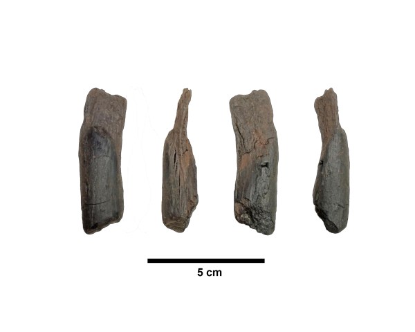 430,000-year-old wooden tools are the oldest ever found