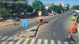 Ahmedabad cattle, traffic