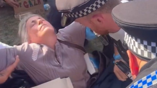 Alice Oswald fue arrestada mientras protestaba en apoyo de Acción Palestina, un grupo de acción directa que fue declarado organización terrorista en el Reino Unido.