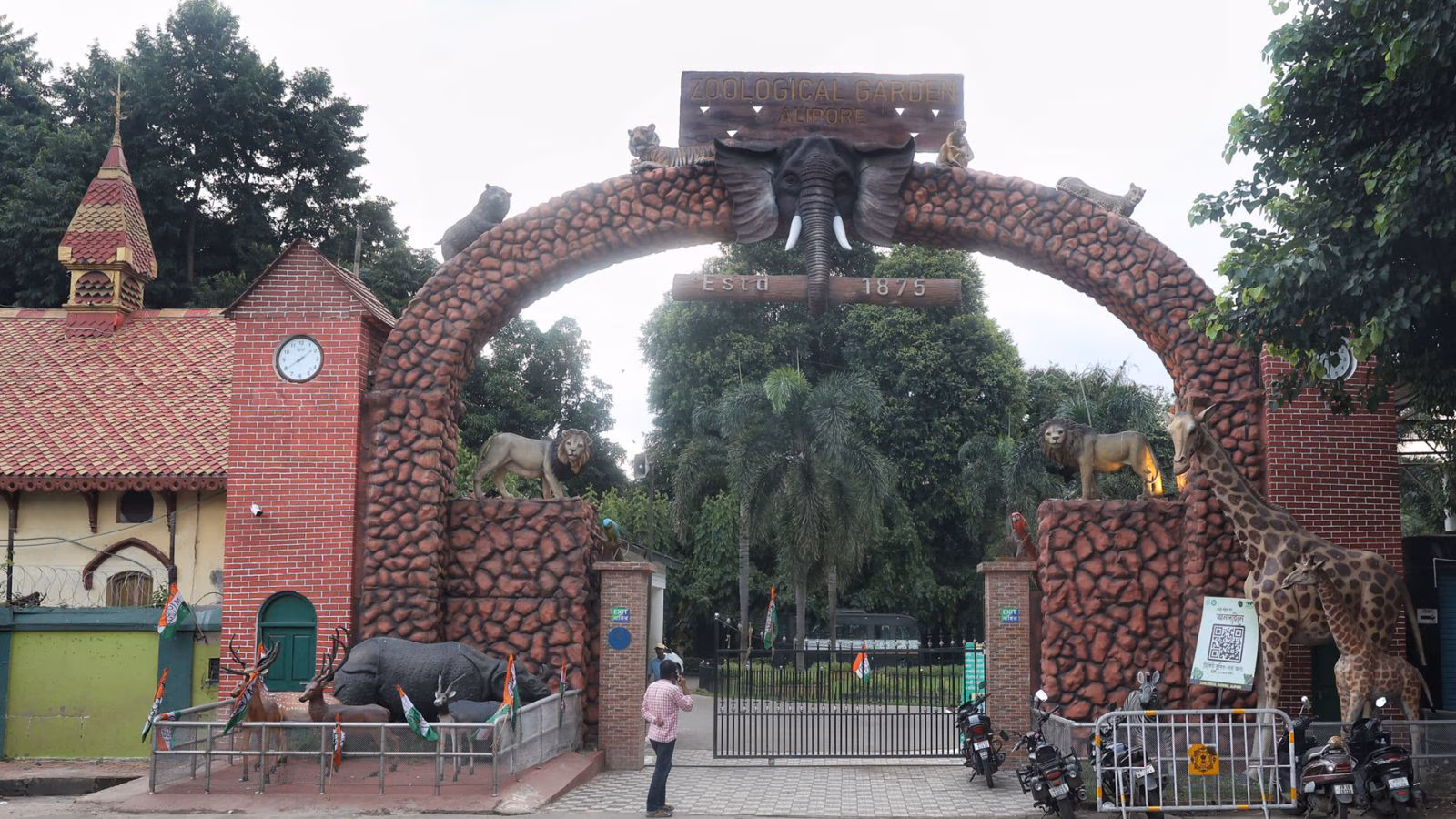 Young hippopotamus at Kolkata’s Alipore Zoo remains motionless in water enclosure for days as vets investigate health concerns (File)