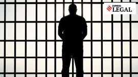 Andhra Pradesh High Court was hearing the plea against the trial court remand extension order.