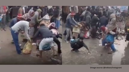 Witnesses reported that people were seen collecting the fish in sacks and fleeing the scene