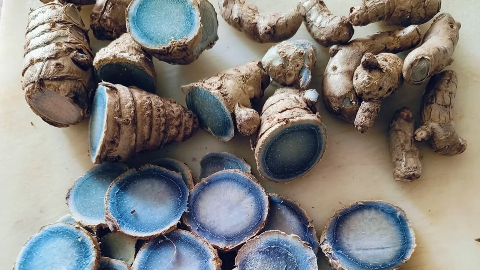 The Blue Gold: All about India’s rare, deep-indigo turmeric with supercharged healing power
