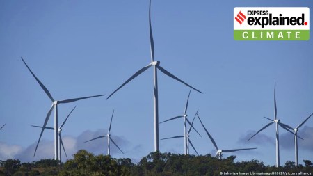 Wind power is cheaper than energy generated from burning fossil fuels.