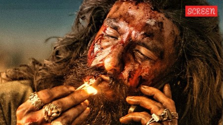 Dhurandhar Box Office Collection Day 31