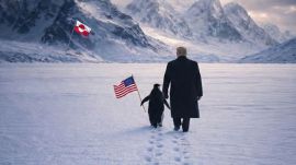 Donald trump greenland penguin meme