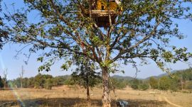 Residents sit on a machan in Sowan village in Jharkhand’s West Singhbhum. (Express photo: Shubham Tigga)