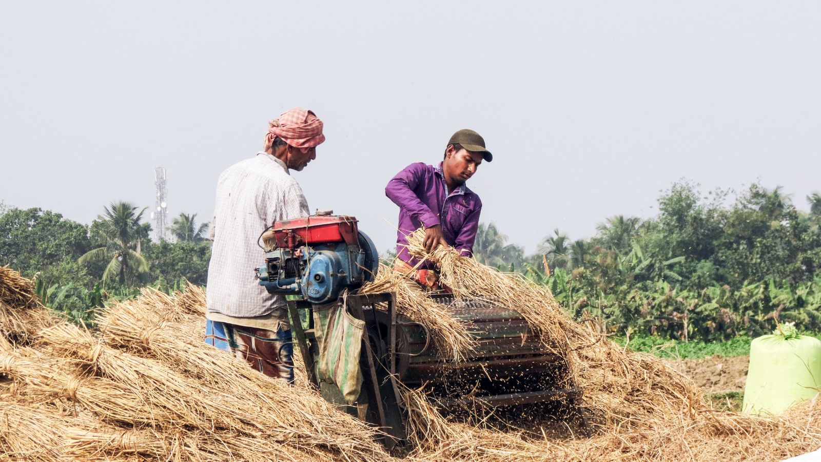 Chandigarh Farmers Hopeful as Land Pooling Policy Revived