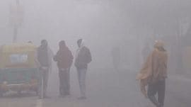 PAU has warned that Punjab will witness harsher winter conditions with dense fog and frost as temperatures stay below normal.