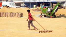 Fortified Rice Punjab