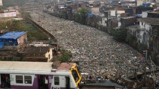 A distressing scene of pollution in Mankhurd, Mumbai, where a waterbody between Lallubhai Compound and Sonapur is choked with floating waste. (Express Photo by Amit Chakravarty)