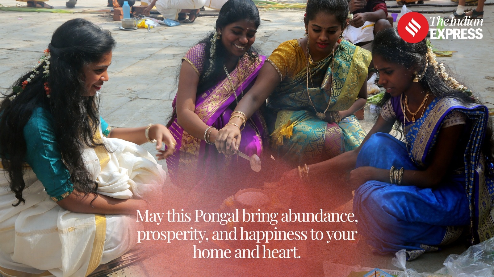 Harvesting peace, success, and positivity this Pongal.