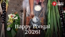 Happy Pongal 2026 Wishes, Images, Quotes (2)