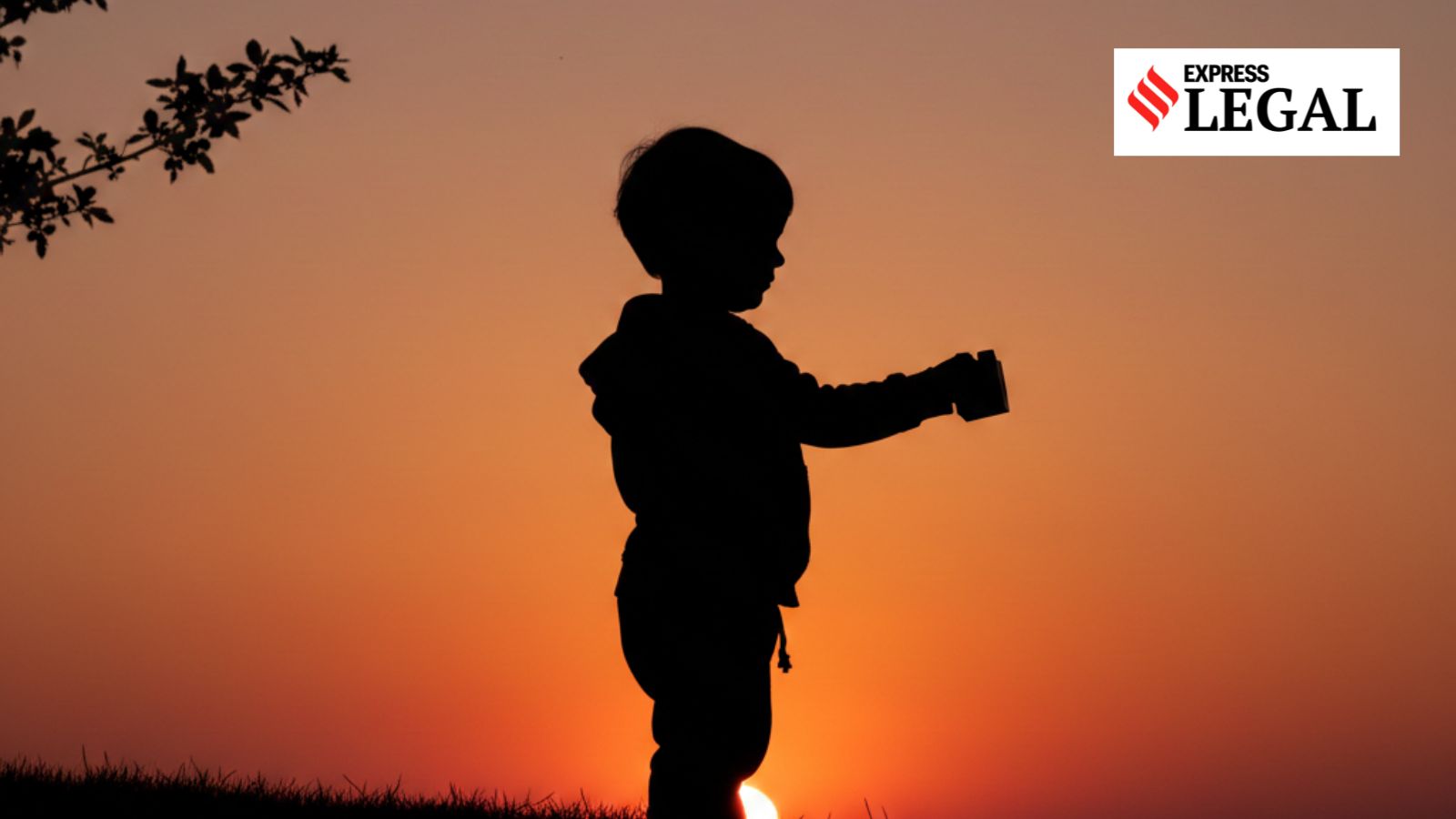 Himachal Court Denies Bail to Man Accused of Assaulting Toddler