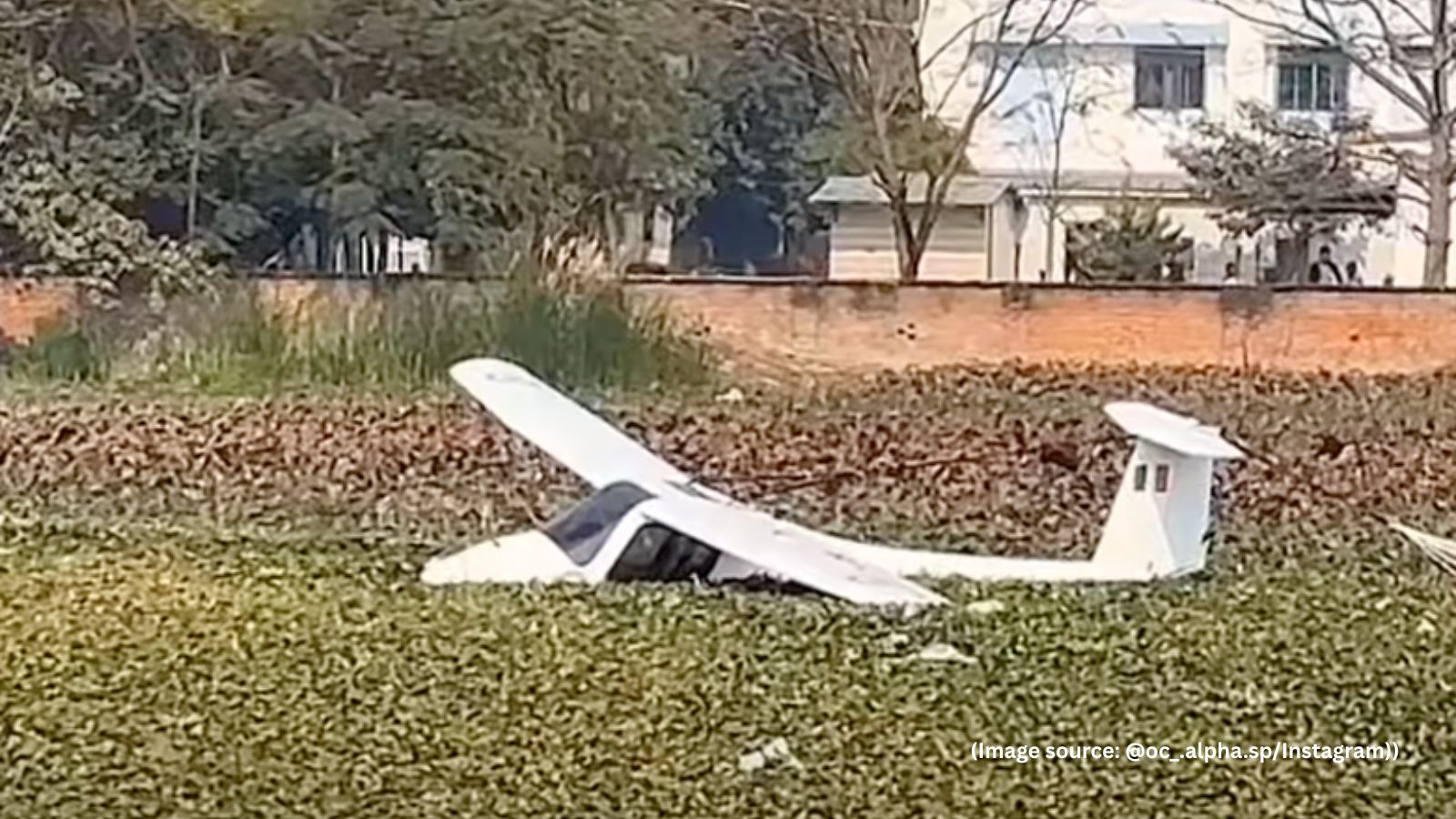 Locals Rescue IAF Pilots After Emergency Landing in Prayagraj Pond