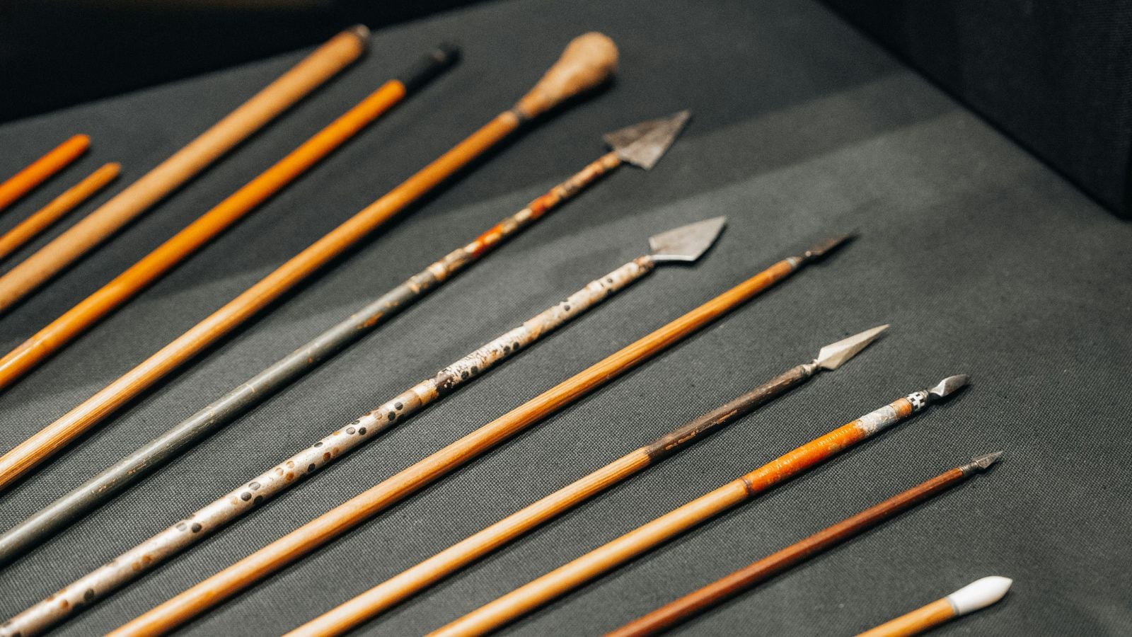 How ancient hunters may have mastered poison long before recorded history