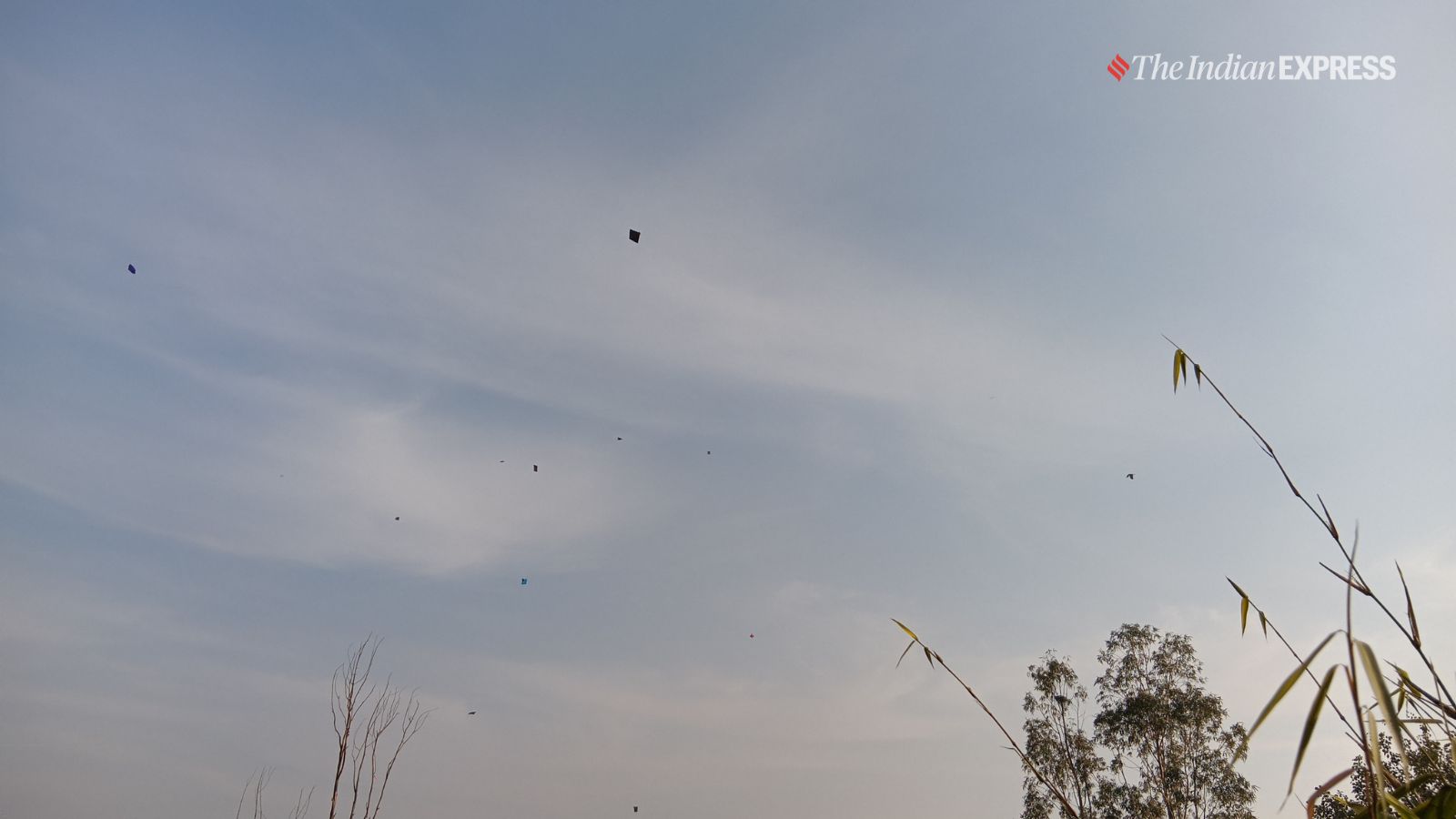 Image sample 1 (Image: The Indian Express/ Ajay hanje)
