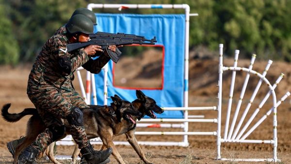 Indian troops practice shooting, army dogs watch. (PTI Photo) 