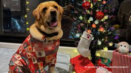 Despite several people suggesting they adopt another dog instead, the couple stood their ground