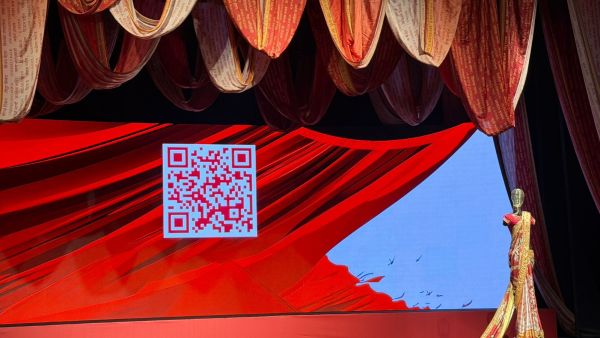 QR codes embedded in Infinite Saree help guide viewers to an online petition that has already gathered over 5,400 signatures. The goal is to reach 50,000 signatures by the end of March | Express photo.