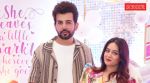 Jay Bhanushali and Mahhi Vij confirm divorce