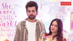 Jay Bhanushali and Mahhi Vij confirm divorce
